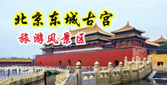 模骚穴导航中国北京-东城古宫旅游风景区